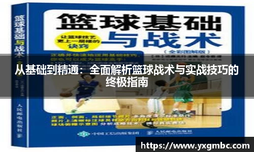 从基础到精通：全面解析篮球战术与实战技巧的终极指南